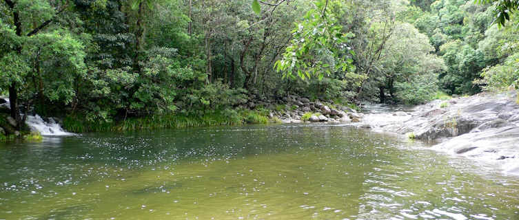 Daintree Rainforest is accessible from Cairns