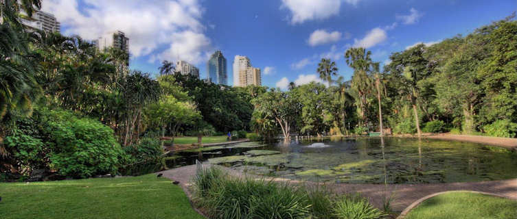 The Brisbane Botanic Gardens at Mt Coot-tha