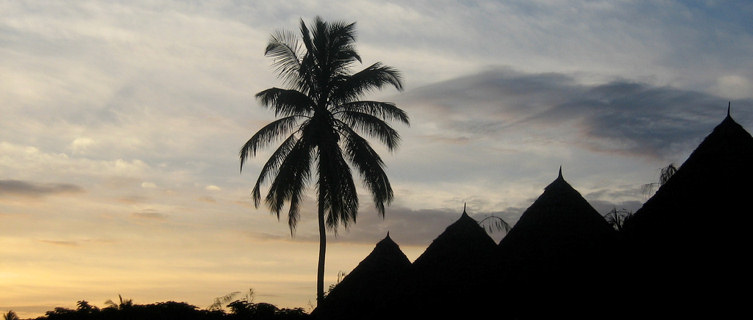 Palm trees at sunset in Dar es Salaam