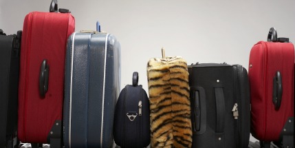 29.4 million luggage items were 'mishandled' last year alone