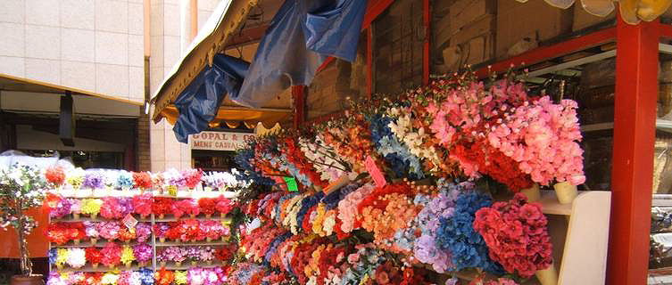 Flower Stall, Johannesburg