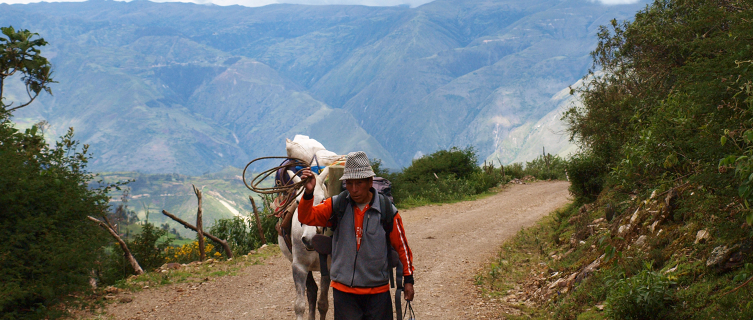 A local and his donkey ascend the Salkantay route