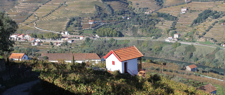 A surveyor’s hut among rows of vines and the above the Douro River