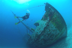 Discover Bonaire's underwater worlds