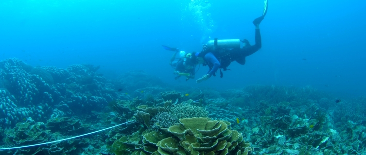 Citizen scientists survey a reef in Pulau Tioman