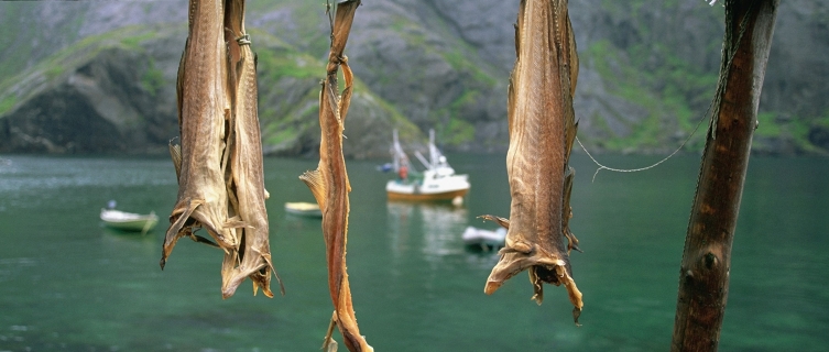 Cod fishing has formed the mainstay of the Lofoten economy