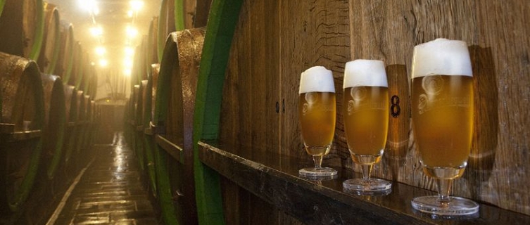 Looking for the best beer in Plzeň? Then look no further...