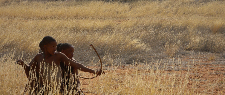 The Ju/'hoansi bring down larger prey using poison-tipped arrows