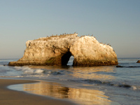 Get cooking California style at Natural Bridges State Beach