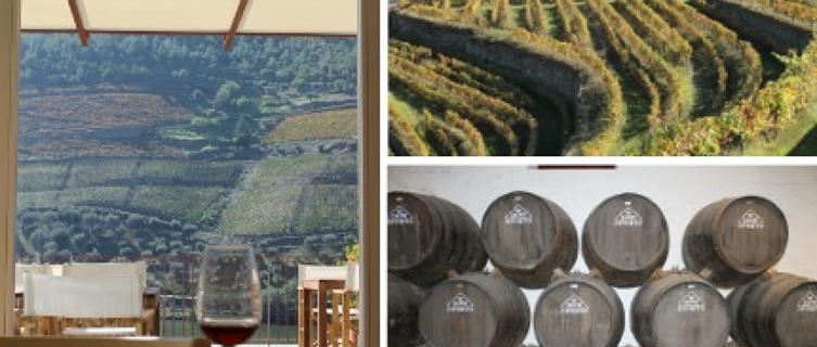 Symington’s newly opened Quinta do Bomfim vineyard