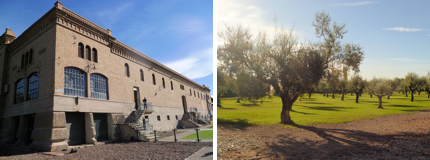 Trapiche's restored factory; olive trees in the grounds