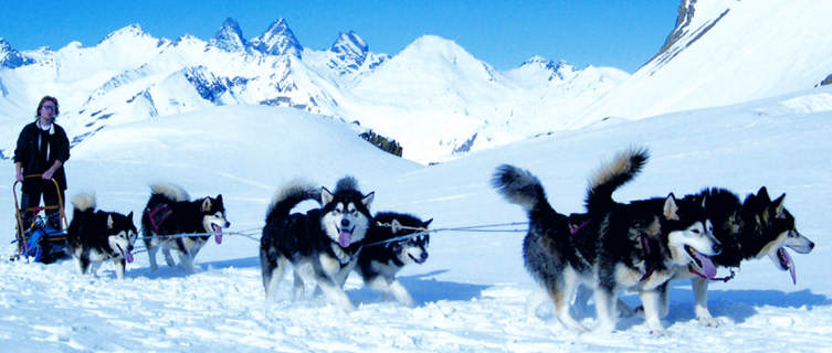 Dog sledding in Valloire