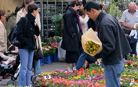 Explore the flower market in Ixelles 