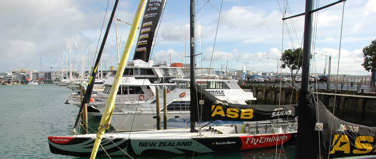 America's Cup boats, Wellington