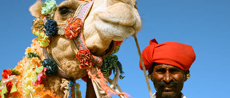 Enjoy a camel safari in India's Rajasthan