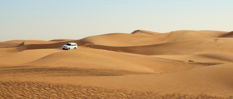 Enjoy a desert safari