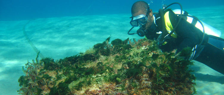 Enjoy St Lucia's unspoilt reefs