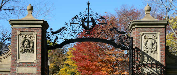 Fall foliage at Harvard University
