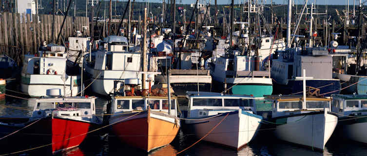 Fishing boats, Nova Scotia