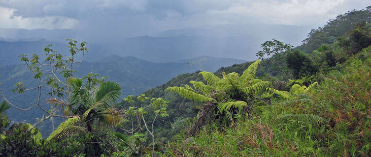 South shore from Puerto Rico's Jayuya mountains