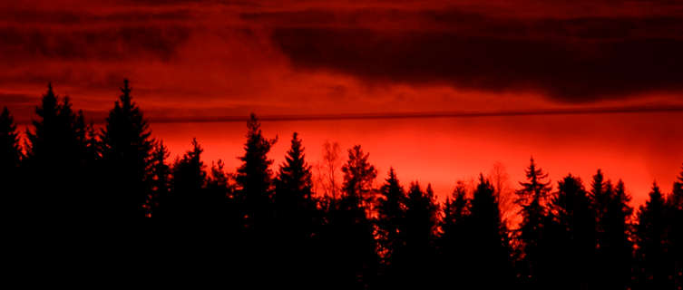 Sunset over a Lapland Forest, Finland