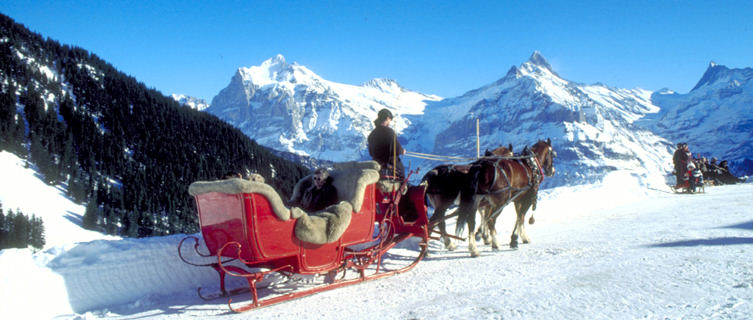 Traditional horse and carriage ride, Grindelwald