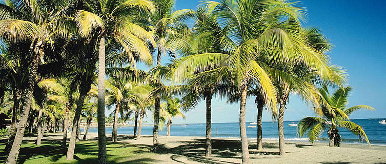 Tropical beach, Viti Levu Island, Fiji