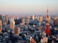 Take in the Tokyo sights, starting with a trip to the Tokyo Tower
